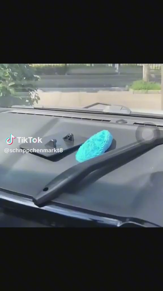 Klare Sicht voraus - Der Bürstenset macht`s möglich