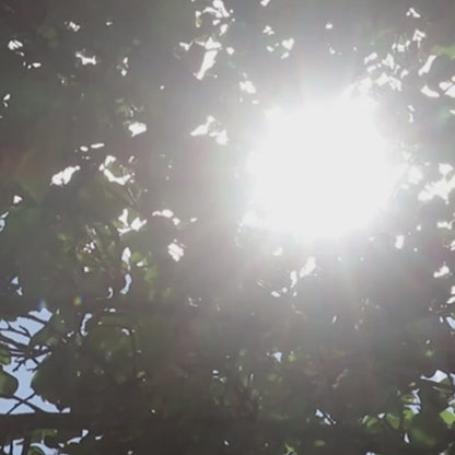 Der Ultimative Faltbare Anti-UV Sonnenschutz für Ihr Auto