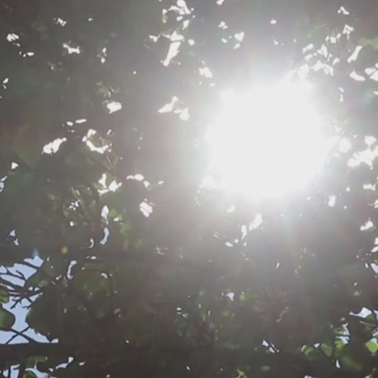 Der Ultimative Faltbare Anti-UV Sonnenschutz für Ihr Auto