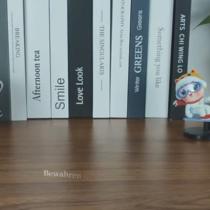 SoundSnap™ Unvergessliche Erinnerungen festhalten!