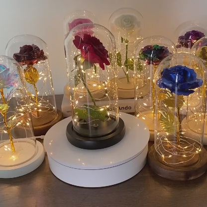 Die zauberhaften Glasblumen